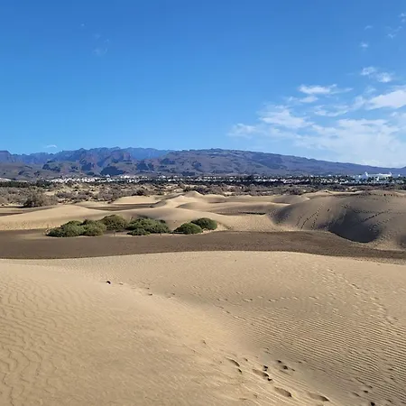 In Near Playa Del Ingles Maspalomas (Gran Canaria)